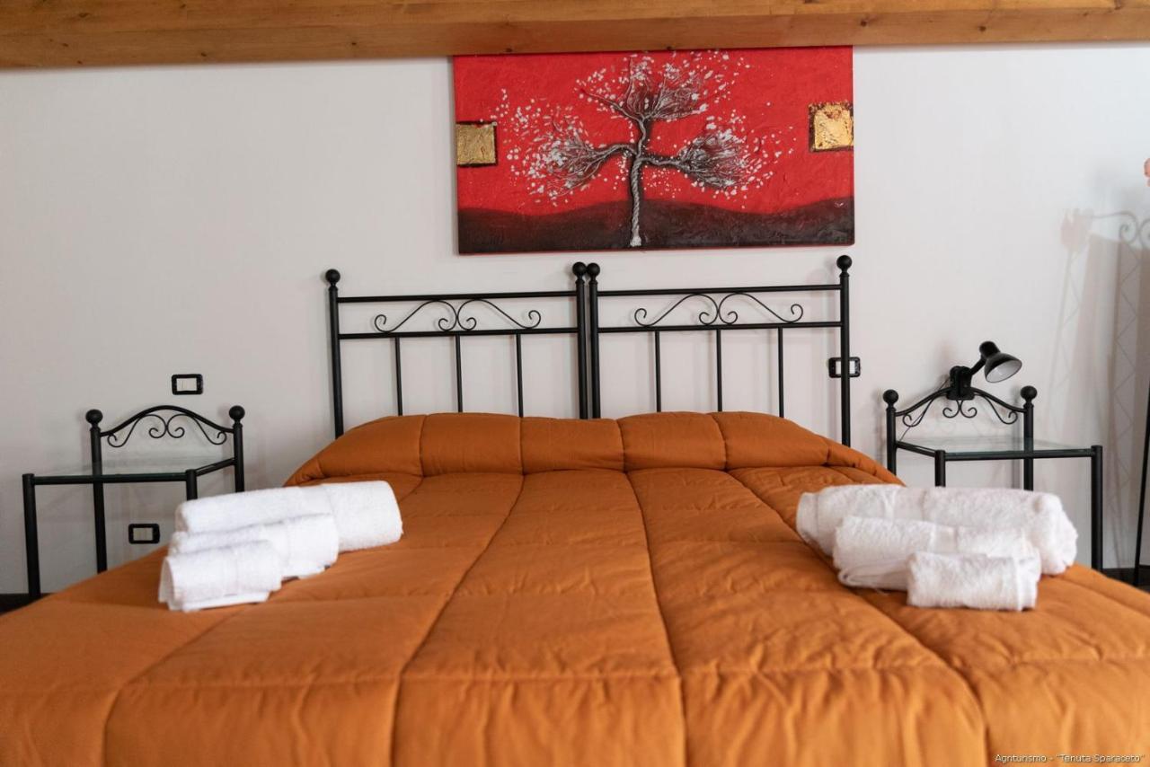 Agriturismo Tenuta Sparaceto 莫迪卡 外观 照片