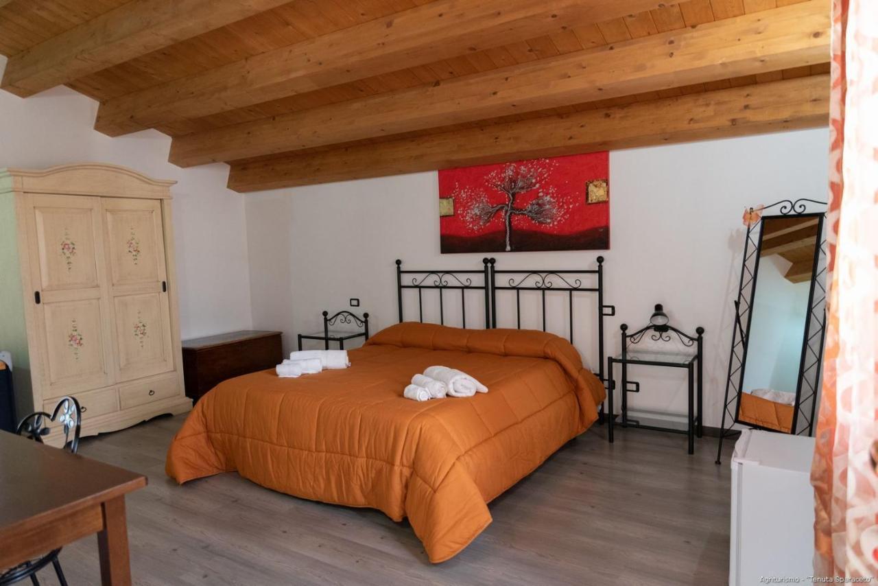 Agriturismo Tenuta Sparaceto 莫迪卡 外观 照片